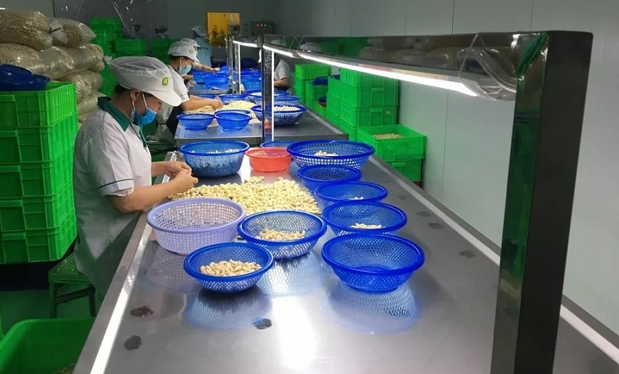 Cơ hội mới cho công nghiệp chế biến từ EVFTA