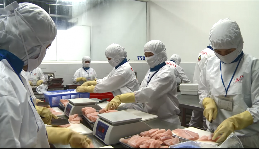 Lạc quan xuất khẩu thủy sản cuối năm