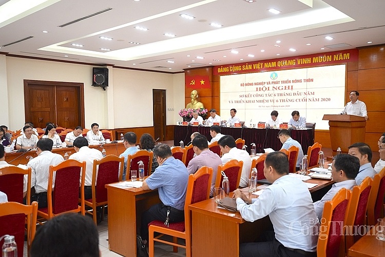 6 tháng đầu năm 2020, xuất khẩu nông lâm thủy sản giảm 3,4% so với cùng kỳ