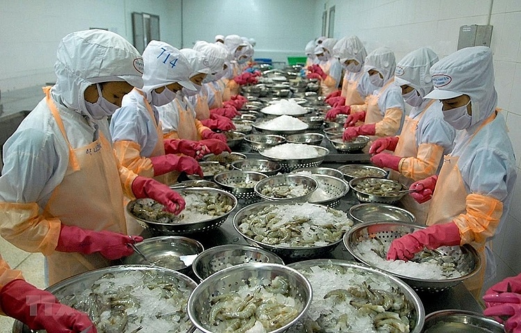 Triển vọng kinh tế cuối năm: Cơ hội và thách thức đan xen