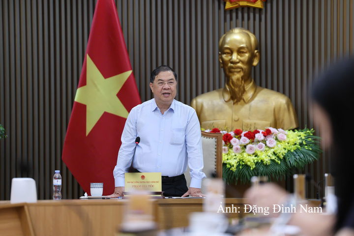 Phó Thủ tướng Thường trực Phạm Gia Túc phát biểu kết luận.