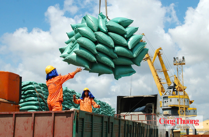 Chính phủ đã ban hành Nghị định số 365/2026/NĐ-CP về kinh doanh xuất nhập khẩu gạo