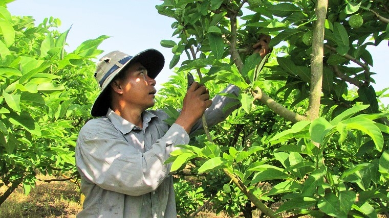 Nhiều sản phẩm OCOP chưa tìm được chỗ đứng trên thị trường