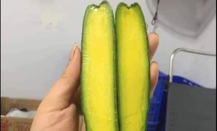 Bất ngờ với loại bơ đặc biệt được giới “nhà giàu” săn lùng khắp nơi