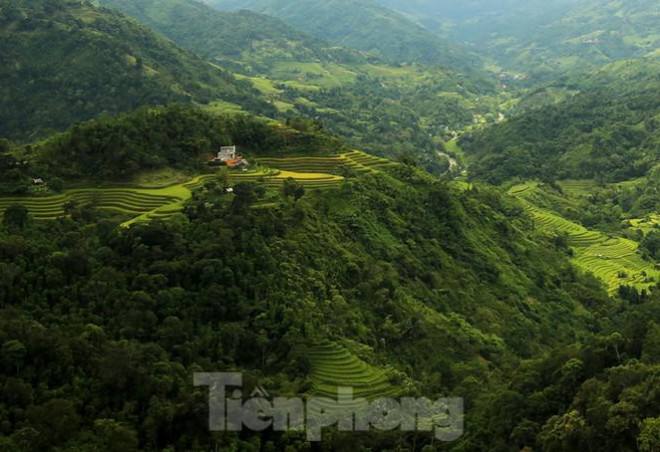 Ngất ngây áng mây bay trên những thửa ruộng bậc thang chín vàng ở Hà Giang