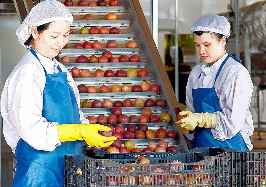 Hợp tác thương mại Việt Nam - Canada: Nhiều dư địa phát triển