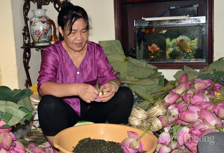 Trà sen Hồ Tây “ướp xổi” lên ngôi