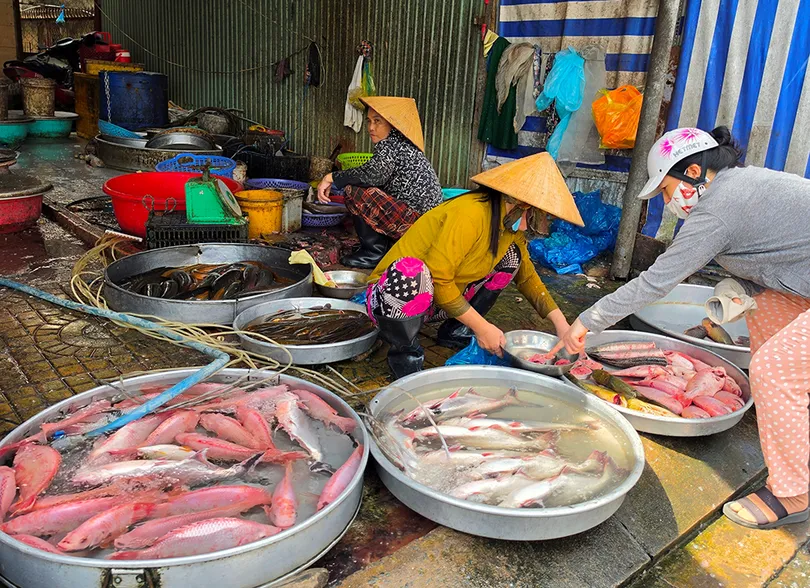 Dạo quanh thị trường