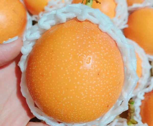 Kỳ lạ loại chanh leo có vị ngọt, giá hơn 100.000 đồng/quả