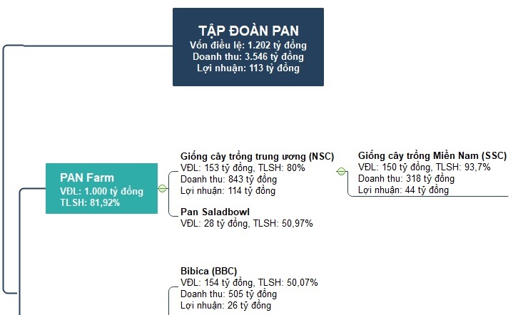 Tập đoàn PAN xin ý kiến cổ đông phát hành riêng lẻ cho Sojitz (Nhật Bản)