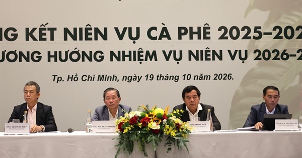 Tổng kết niên vụ cà phê 2025-2026: Doanh nghiệp nào dẫn đầu xuất khẩu?