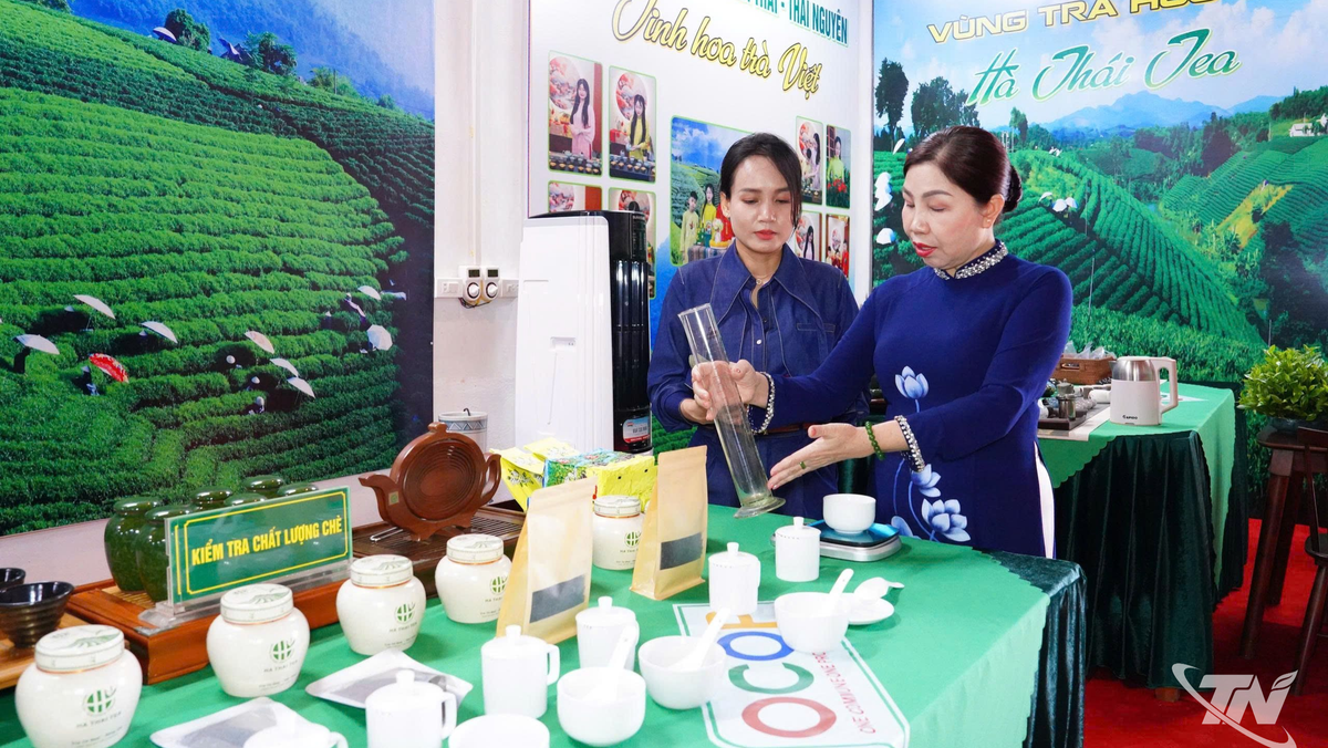 Doanh nhân xứ Trà nâng tầm nông sản quê hương