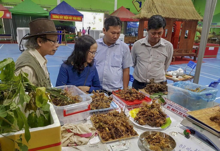 Quảng Nam: Phòng chống dịch Covid-19, chợ sâm Ngọc Linh chuyển sang bán online