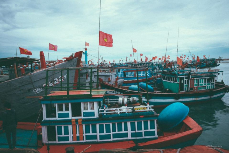 Rộn ràng chợ cá ở Lý Sơn