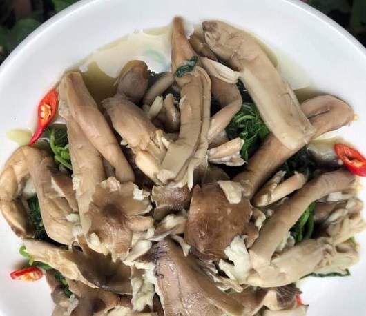 Nấm mối giá gần triệu đồng/kg, muốn ăn khách phải đặt trước cả tuần