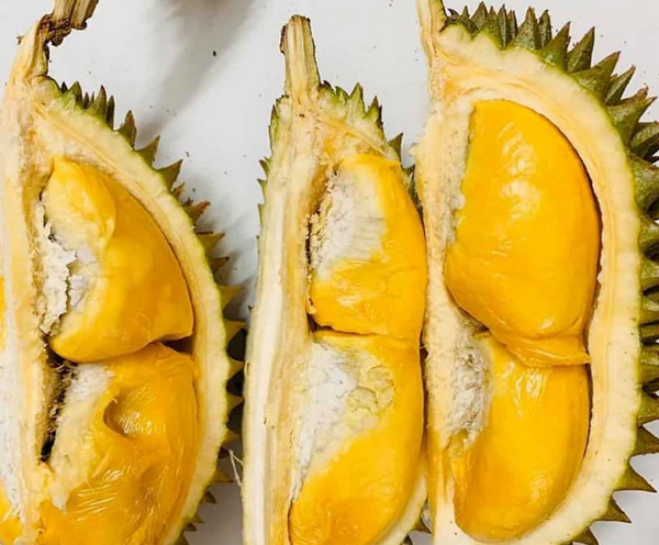 Sầu riêng mini Thái Lan giá cao ngất ngưởng vẫn gây “sốt“, đâu là lý do?