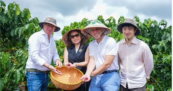 Điều gì đang thay đổi cách doanh nghiệp Việt nâng tầm cà phê Robusta?