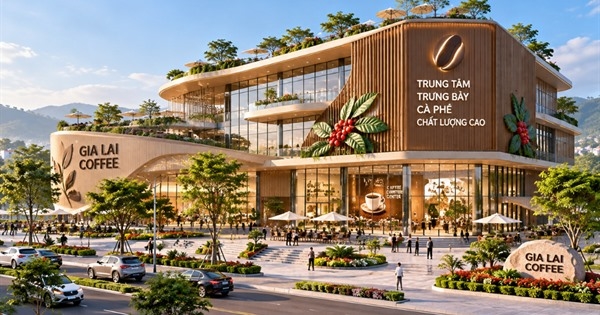 Gia Lai đấu giá đất xây Trung tâm cà phê chất lượng cao 287 tỷ đồng