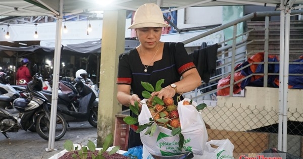 Đà Nẵng: Thương mại xanh từ phiên chợ hạn chế túi nilon