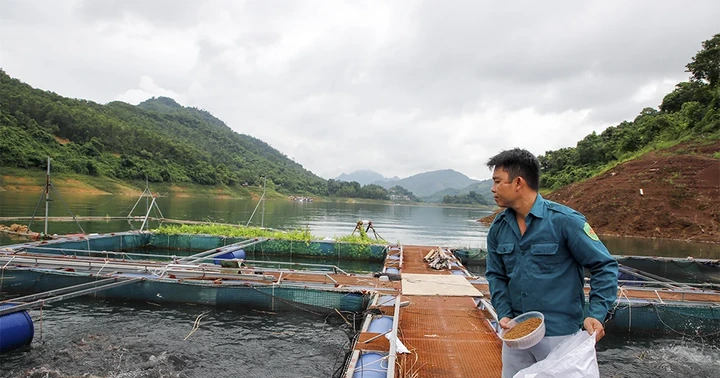 Đồng vốn chính sách mở lối sinh kế cho người dân vùng khó