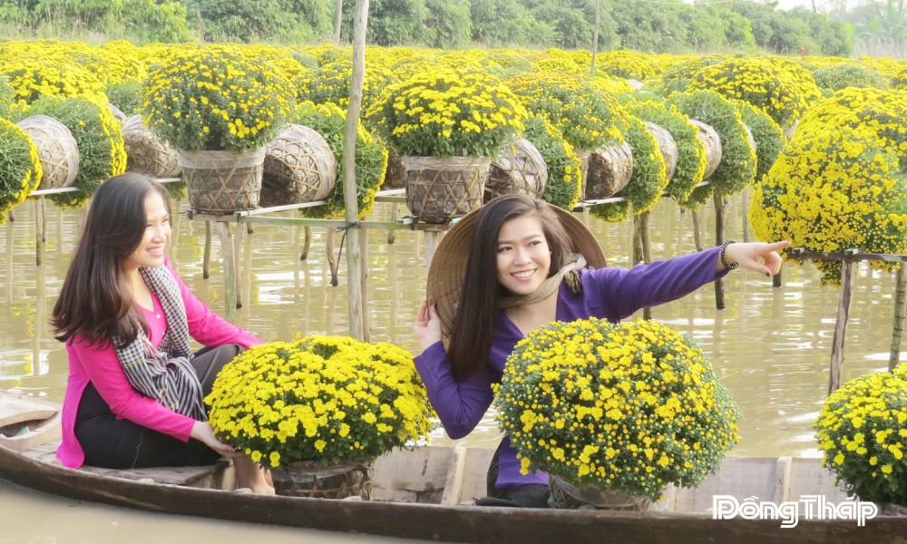 Đồng Tháp: Đẩy mạnh truyền thông, quảng bá Festival Hoa – Kiểng Sa Đéc lần thứ II năm 2025