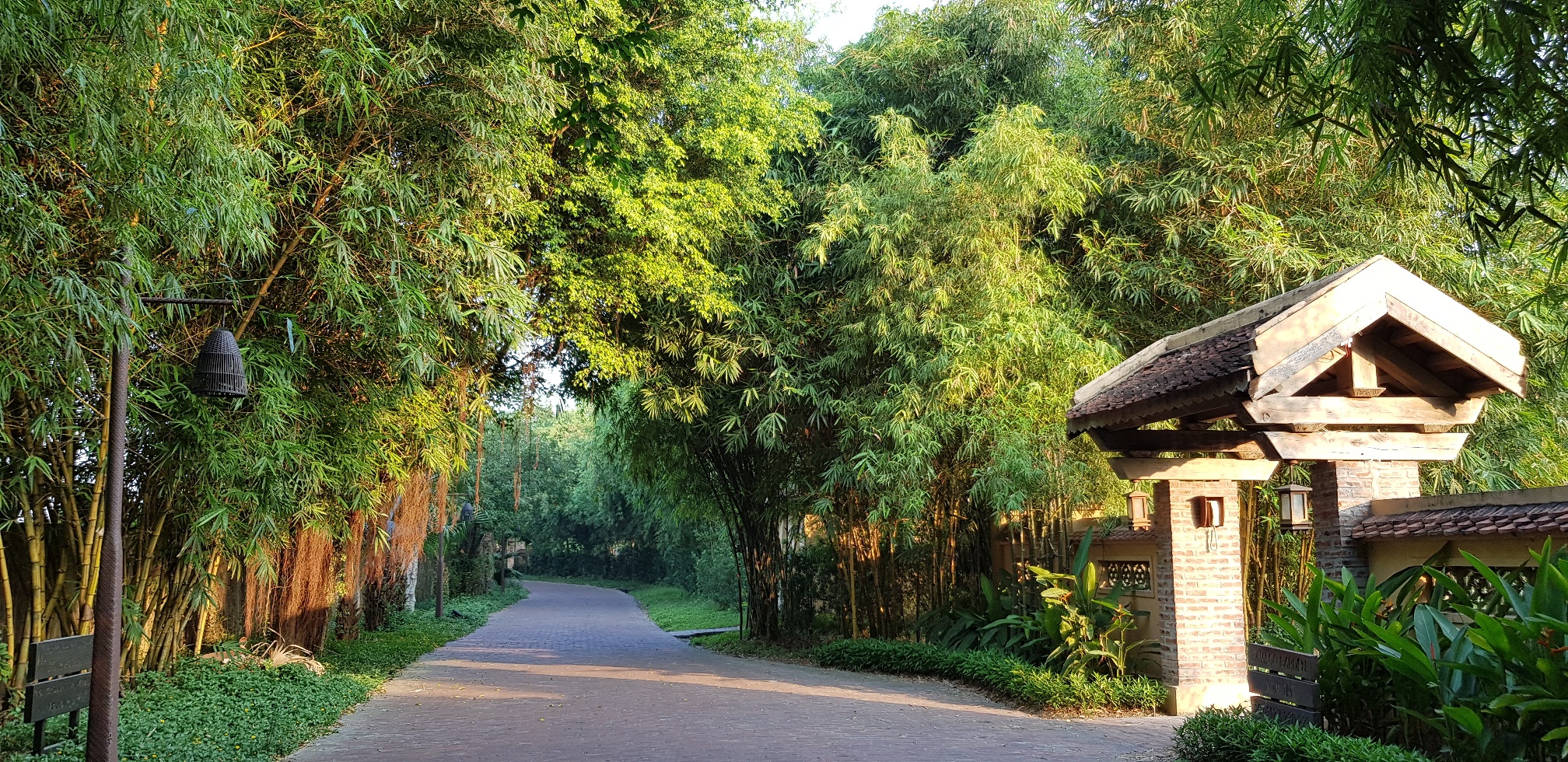 Du xuân an yên, gác lại lo âu
