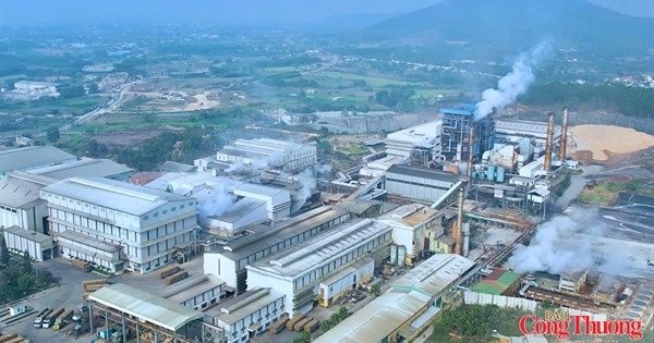 Gia Lai chấp thuận đầu tư dự án Nhà máy Ethanol An Khê 1.741 tỷ đồng
