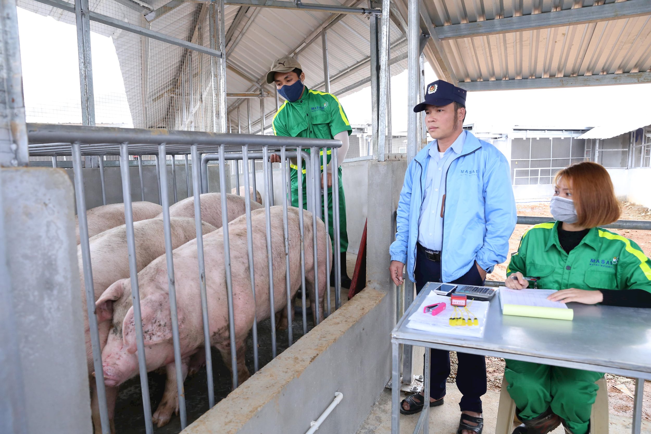 Chuỗi liên kết: Hiệu quả kép cho ngành chăn nuôi
