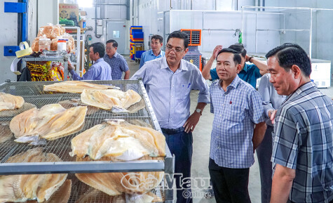 Kiến tạo và đồng hành thúc đẩy kinh tế tư nhân