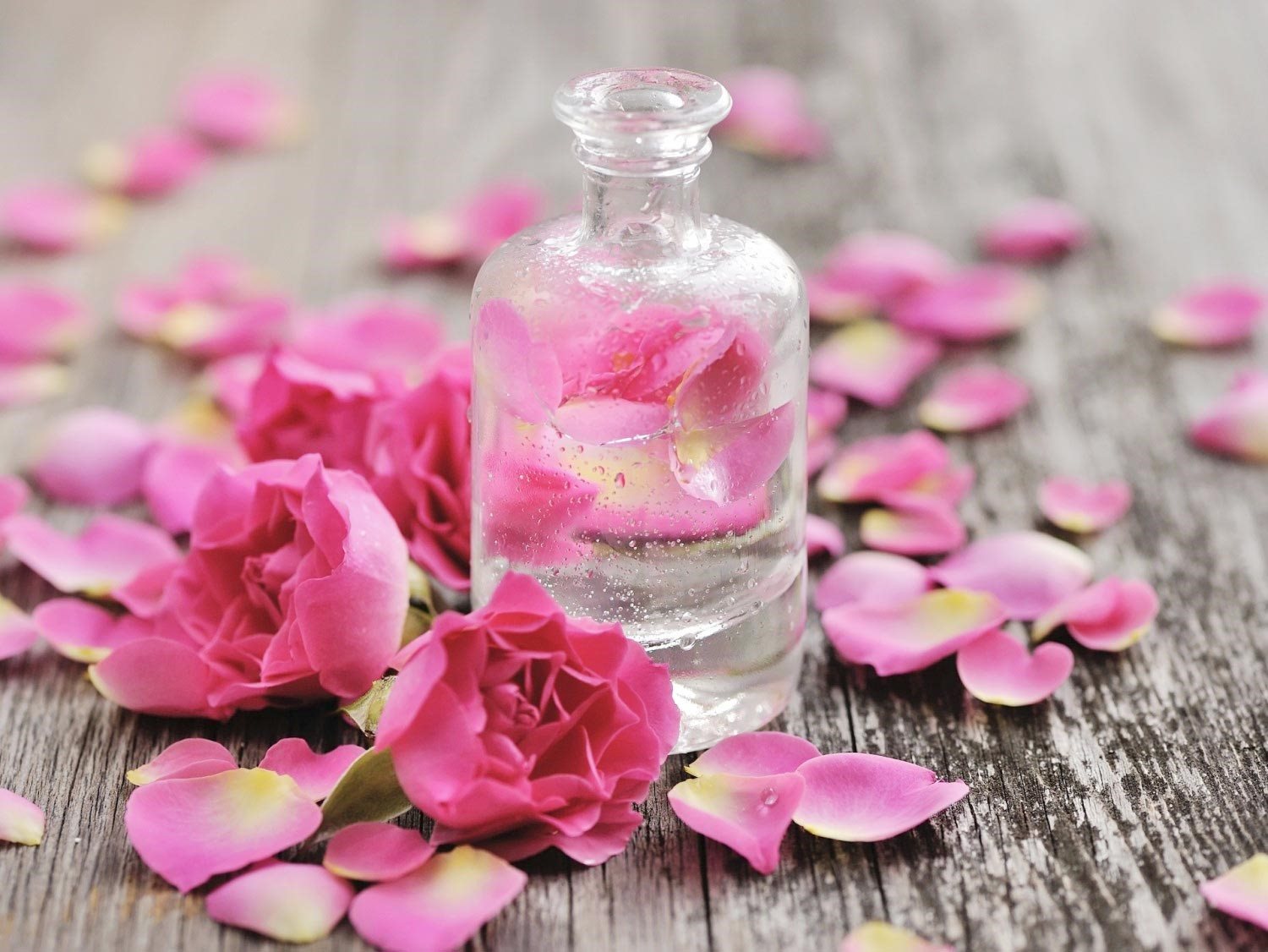 Lợi ích của hoa hồng đối với sức khỏe và làn da