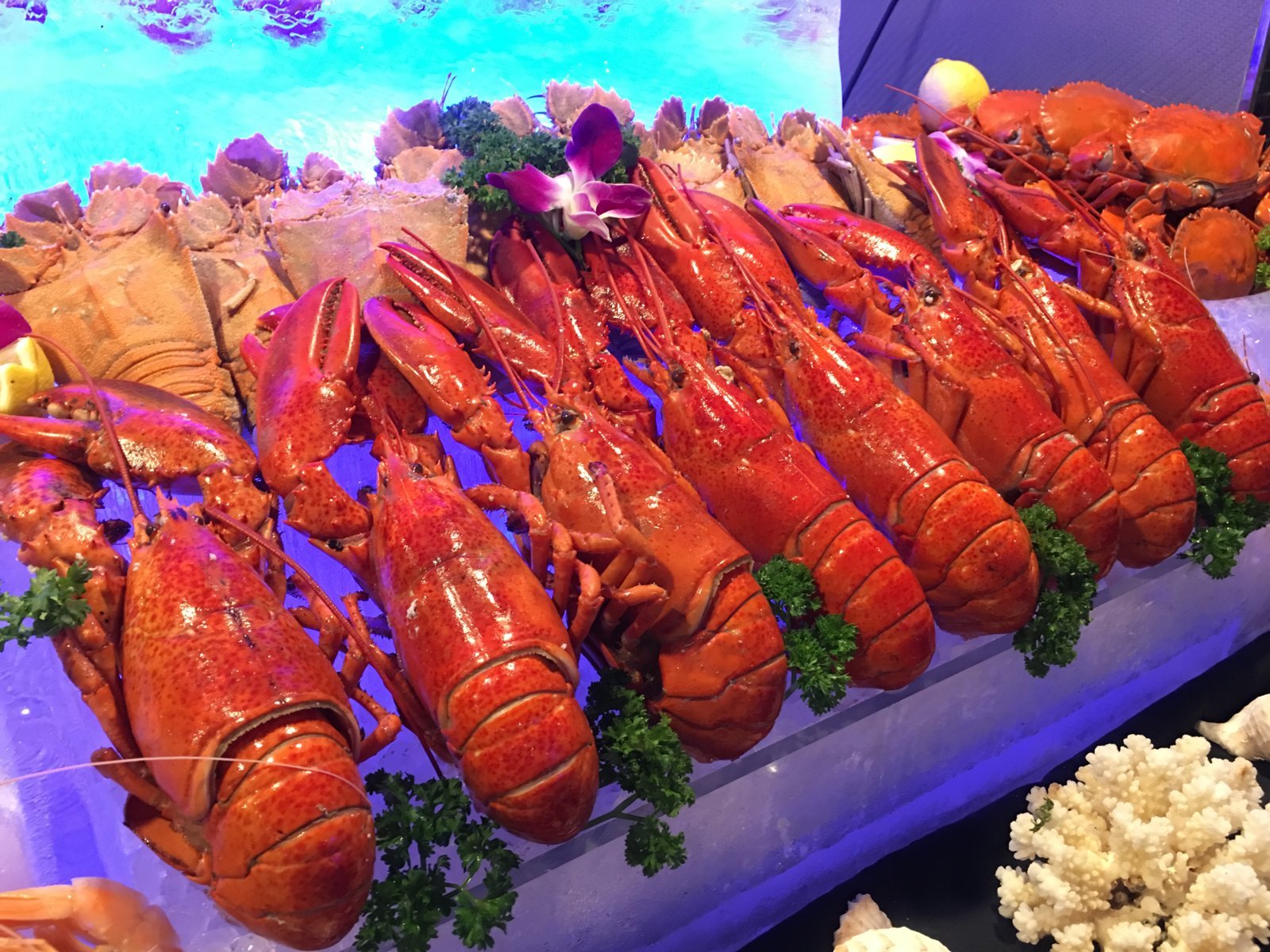 Ưu đãi Đặc Biệt tại Eastin Grand Sài Gòn 