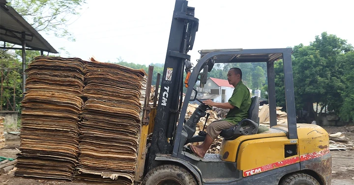 Nghề chế biến gỗ ở Tây Cốc