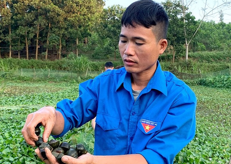 Giàu lên từ nuôi ốc nhồi