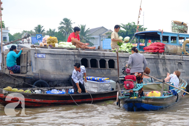 Về Cần Thơ dập dềnh ăn bún, uống cà phê "di động" trên chợ nổi Cái Răng còn được khuyến mãi câu hò ngọt lịm của miền sông nước