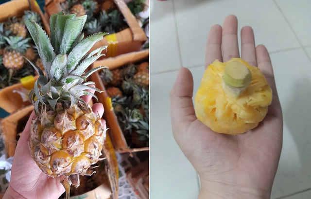 Thực hư dứa Thái mini nhỏ bằng nắm tay siêu ngọt đang giảm giá "sập sàn" 10.000 đồng/kg