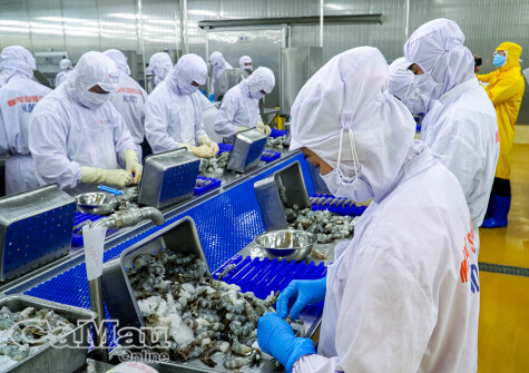 Sát cánh cùng doanh nghiệp, nhà đầu tư