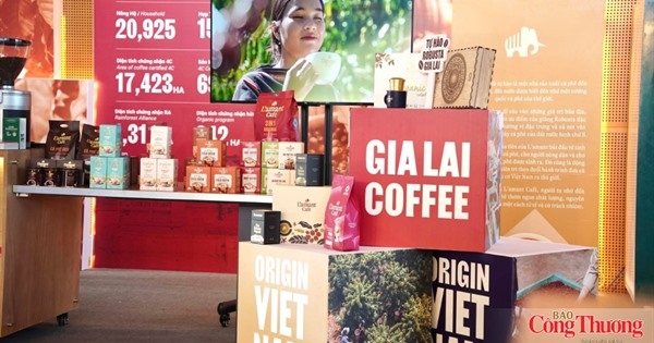 Gia Lai sẽ có trung tâm trưng bày cà phê chất lượng cao 287 tỷ đồng