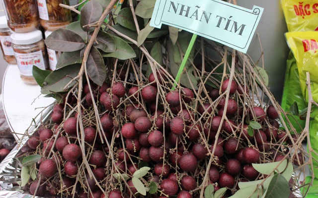 Từ chuyện người Thái lùng mua nhãn tím: Sao chưa bảo hộ giống quý?