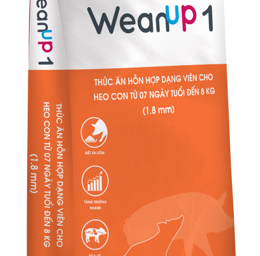 Wisium chính thức giới thiệu sản phẩm Wean Up  