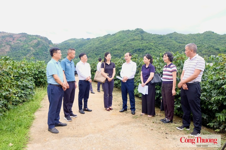 Trước đó, đoàn đại biểu huyện Giang Thành, thành phố Phổ Nhĩ, tỉnh Vân Nam (Trung Quốc) đã cùng với lãnh đạo Sở Công Thương tới khảo sát 