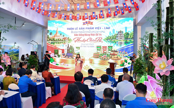 Toàn cảnh buổi lễ khai mạc. Ảnh: Nam Nguyễn
