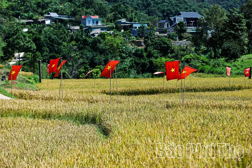 Bản Mừng Cao Phong - sắc màu du lịch vùng cao