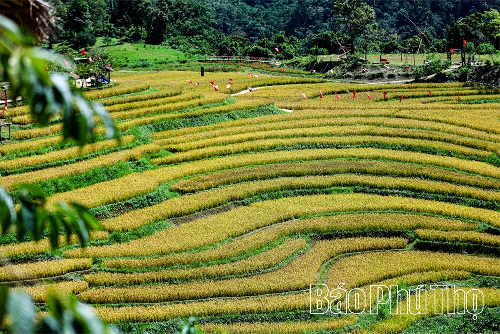 Bản Mừng Cao Phong - sắc màu du lịch vùng cao