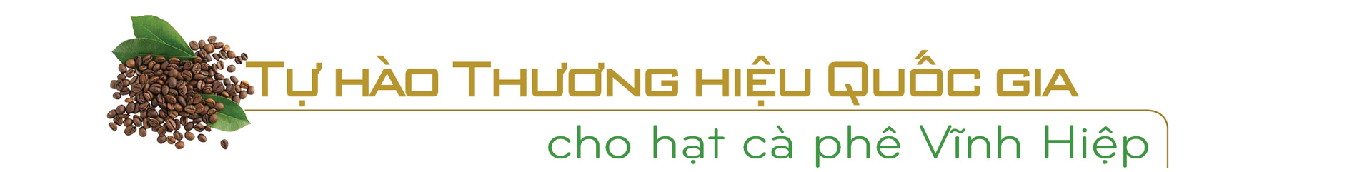 Longform | Doanh nhân Thái Như Hiệp: Nghĩ lớn với AI và 24.000 ha cà phê chất lượng cao - 1