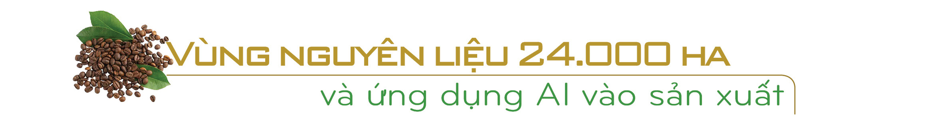 Longform | Doanh nhân Thái Như Hiệp: Nghĩ lớn với AI và 24.000 ha cà phê chất lượng cao - 5