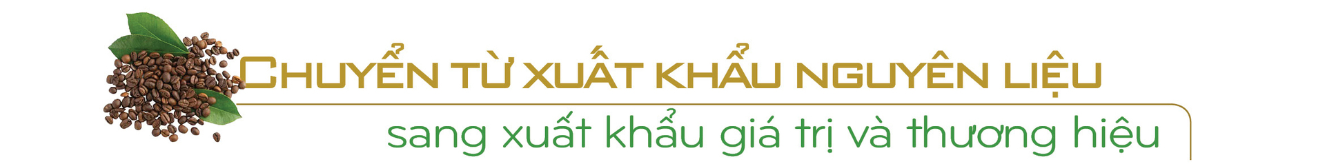 Longform | Doanh nhân Thái Như Hiệp: Nghĩ lớn với AI và 24.000 ha cà phê chất lượng cao - 9